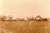 Agee wagon train circa 1905 fromOrr, Okla to Alanreed Tex.