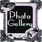 OkGenWeb Photo Gallery
