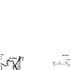 mar-4s-7e.gif (4370 bytes)
