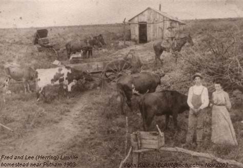 Fred and Lee (Herring) Linville homestead near Putnam