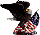 Eagle with flag
