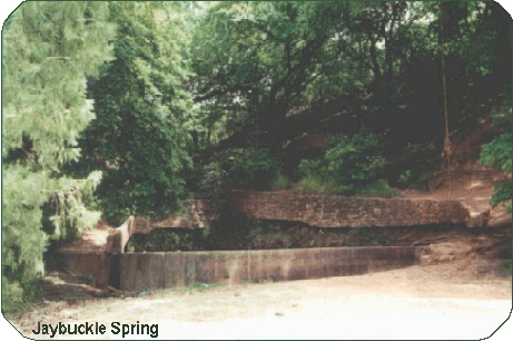 JayBuckle Spring