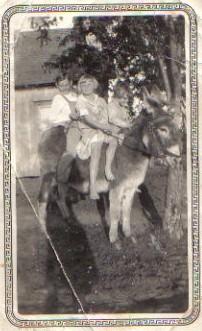 three Barnard children on a mule 