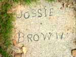 brown-jossie