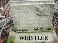 whistler-ellis.jpg (86060 bytes)