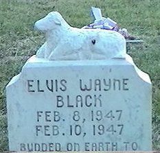 Elvis Wayne Black