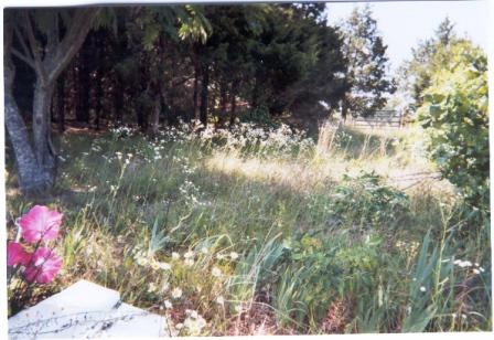 Cedar Hill Cemetery