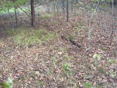 Beaver Cemetery