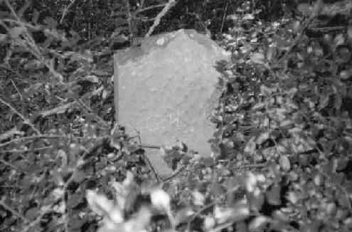 Stephen Giles Harris Gravestone